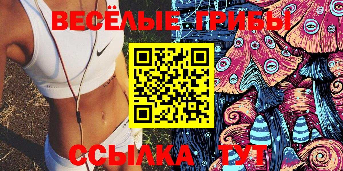 где найти   Псилоцибиновые грибы Magic Shrooms  Вход с VPN  Жигулёвск 